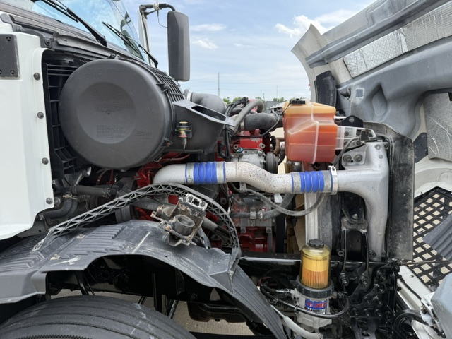 IMG_7295 IMG_7295