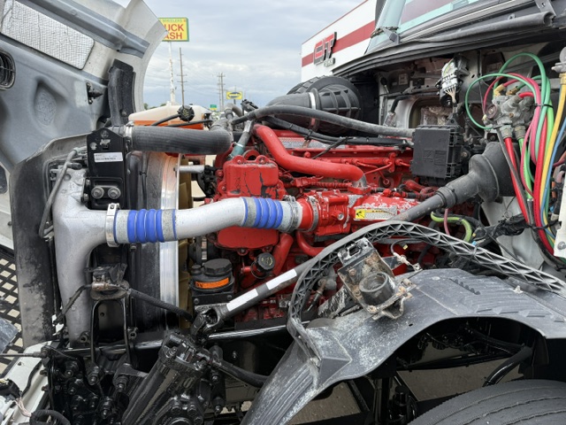 IMG_7296 IMG_7296